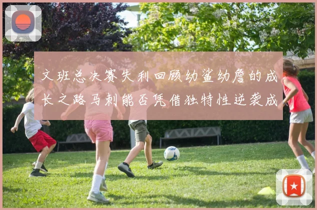 文班总决赛失利回顾幼鲨幼詹的成长之路马刺能否凭借独特性逆袭成功