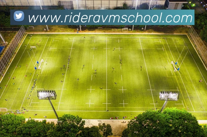 奖项证书